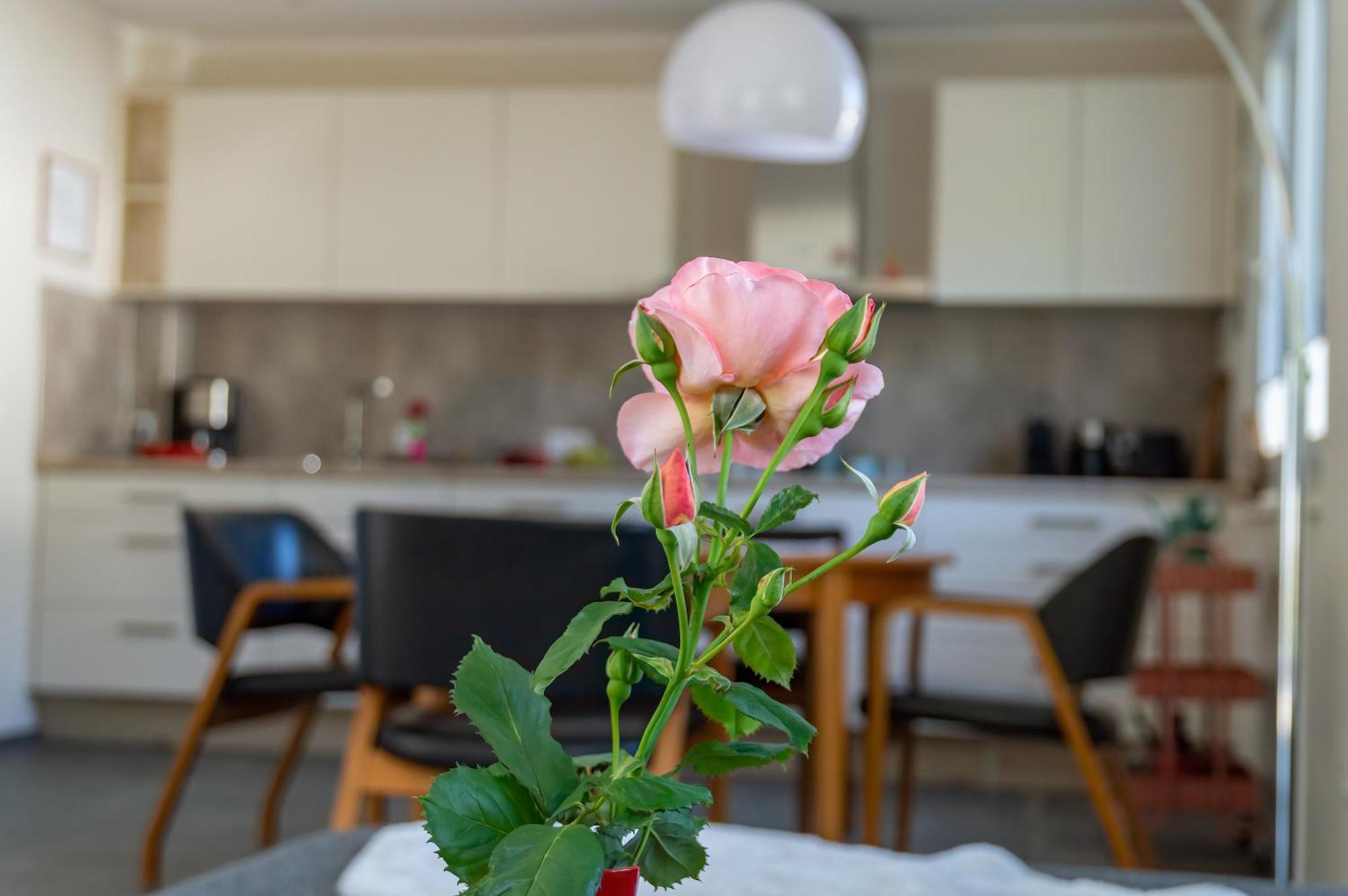 Ferienwohnung Wurzelecht バート・ノイェンアール・アールヴァイラー エクステリア 写真